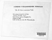 Image Associated With the Occurence
